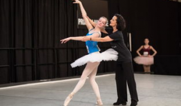 芭蕾舞视频,芭蕾舞视频中的艺术魅力与情感演绎